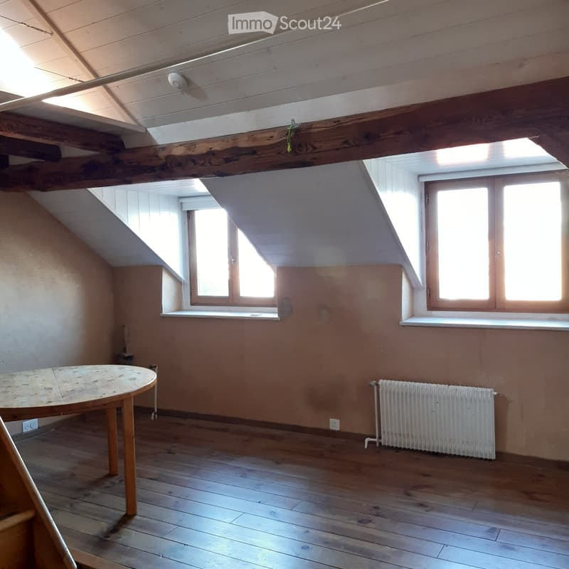 Charmant appartement en attique avec jardin à Meyrin village (4)