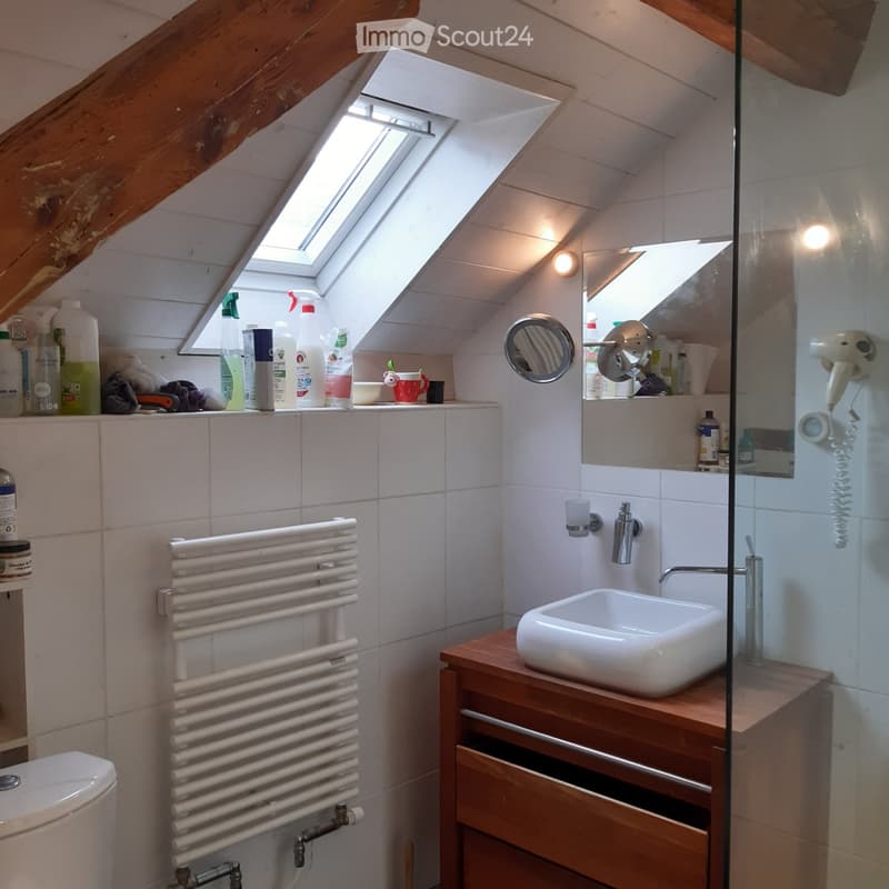 Charmant appartement en attique avec jardin à Meyrin village (3)