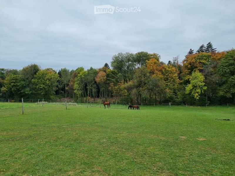 2 families looking for house/farm/apartment + horse space (2)