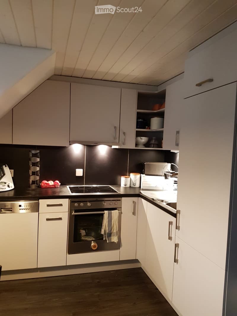 Zu vermieten charmantes Apartment in einem Haus im Stadtzentrum (1)