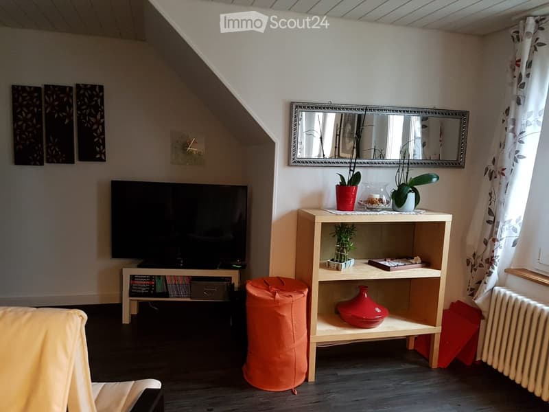 Zu vermieten charmantes Apartment in einem Haus im Stadtzentrum (2)