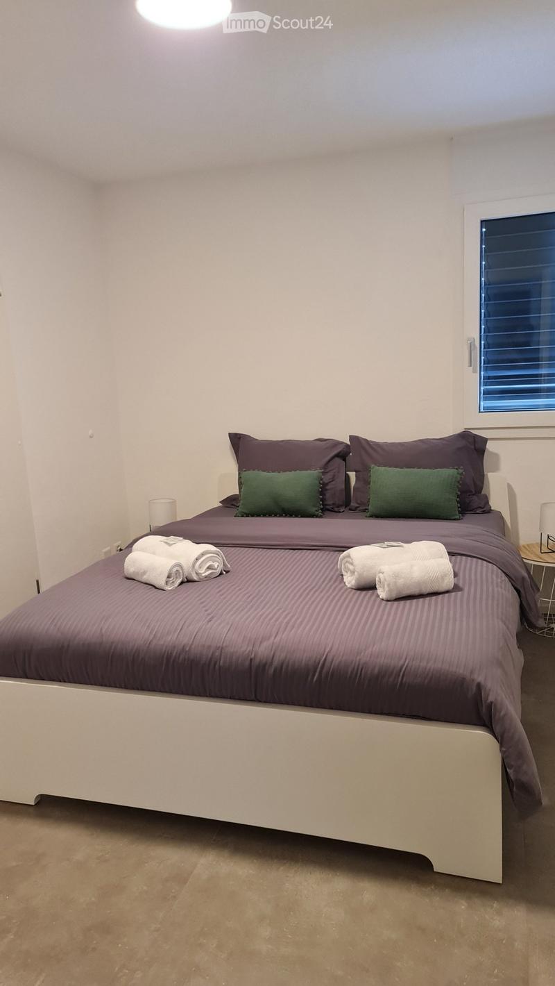 Appartement 2.5 möbliert, alle Nebenkosten inbegriffen (3)