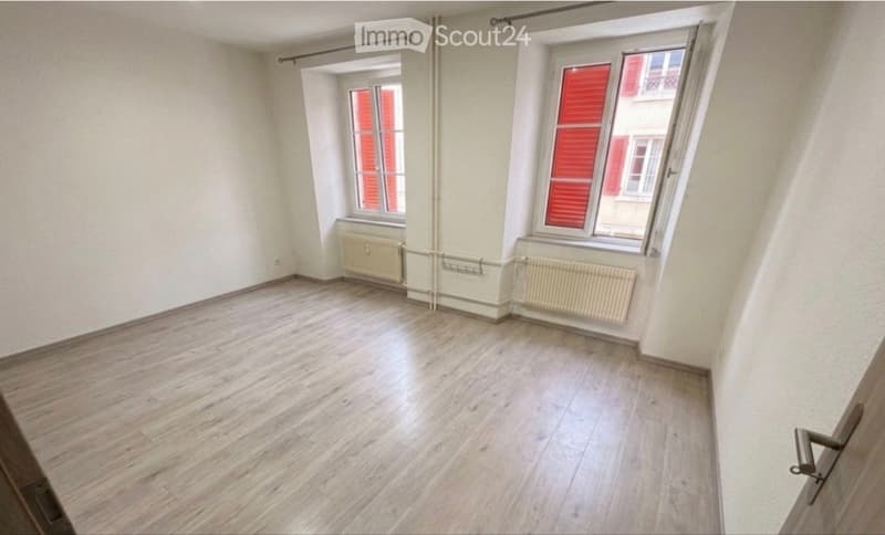 Helles 3,5-Zimmer-Wohnung moderne Rue de l'Industrie (3)