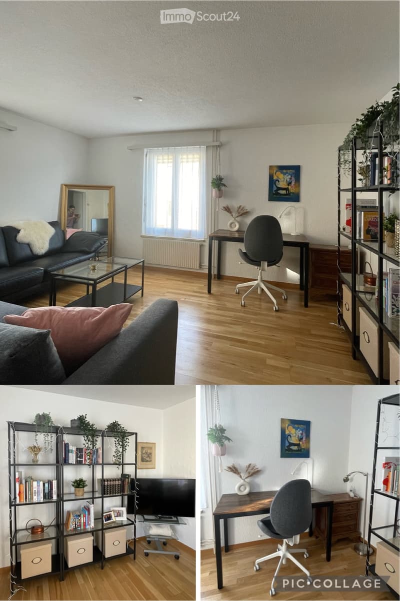 Vollständig möblierte 2.5-Zimmer-Wohnung in St. Gallen (Temporär) (1)