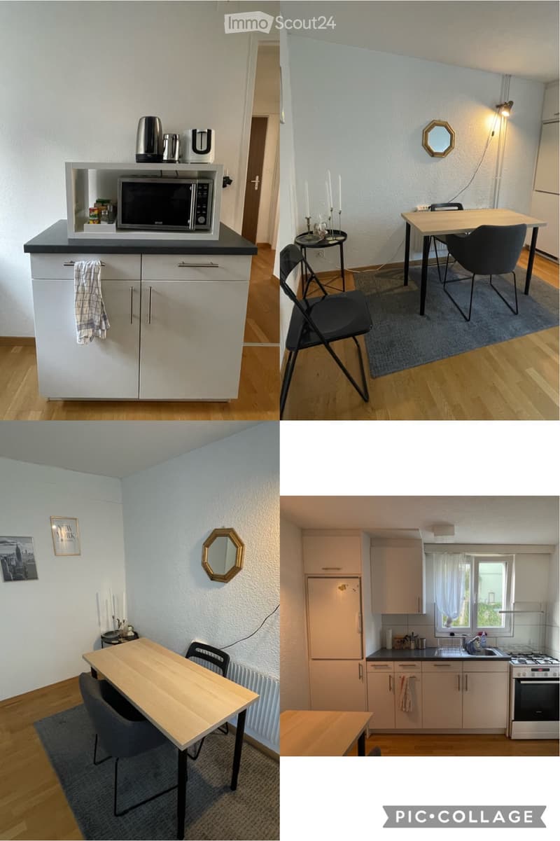 Vollständig möblierte 2.5-Zimmer-Wohnung in St. Gallen (Temporär) (3)