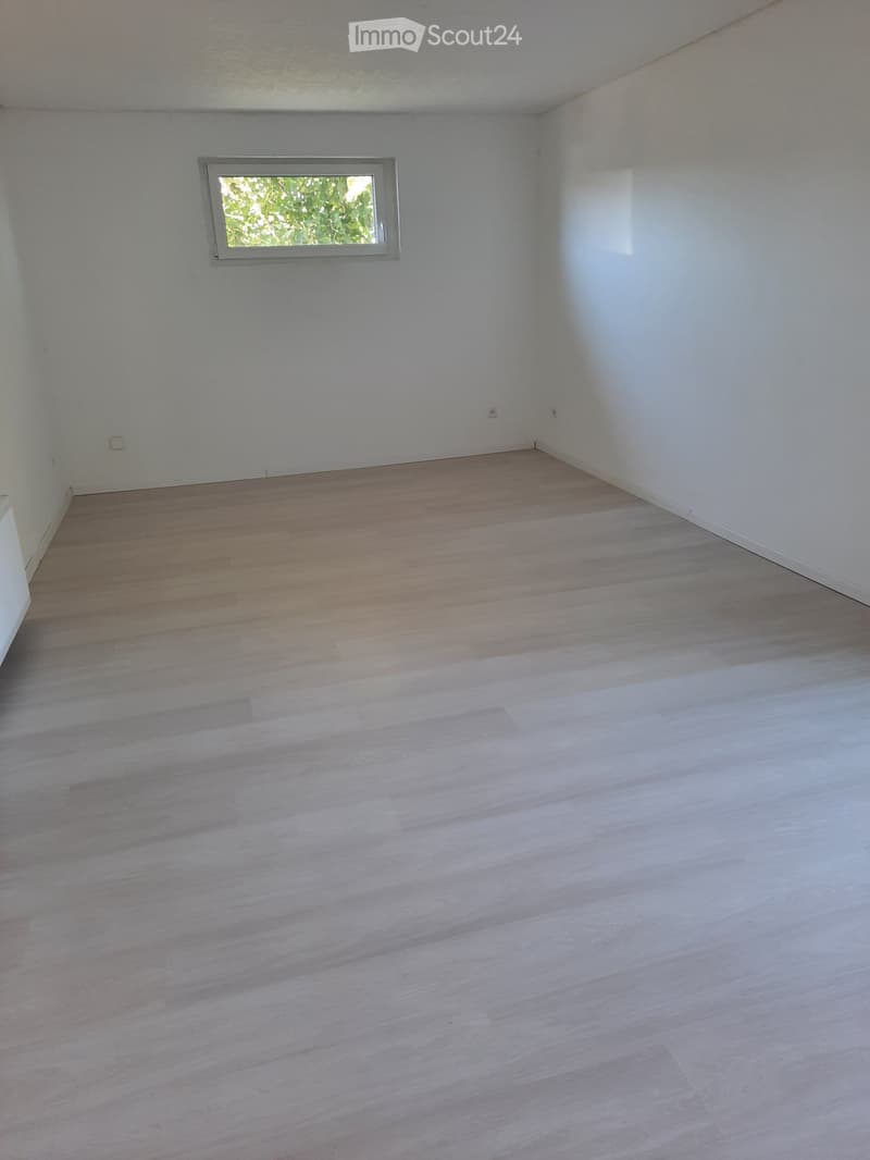 Zweieinhalb-Zimmer-Wohnung mit Terrasse (2)
