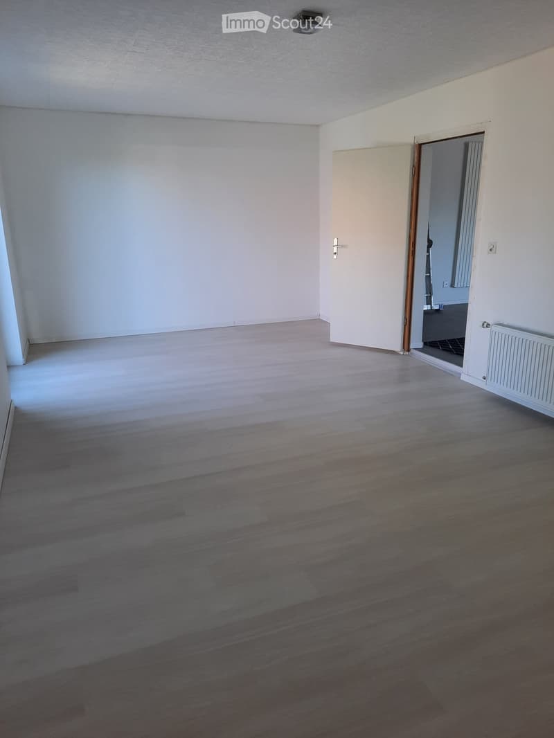 Zweieinhalb-Zimmer-Wohnung mit Terrasse (4)