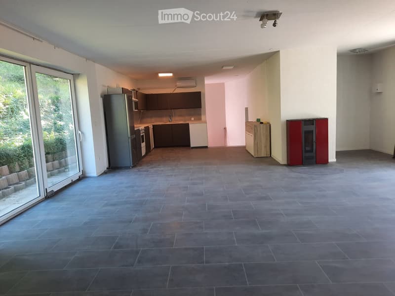 Zweieinhalb-Zimmer-Wohnung mit Terrasse (1)