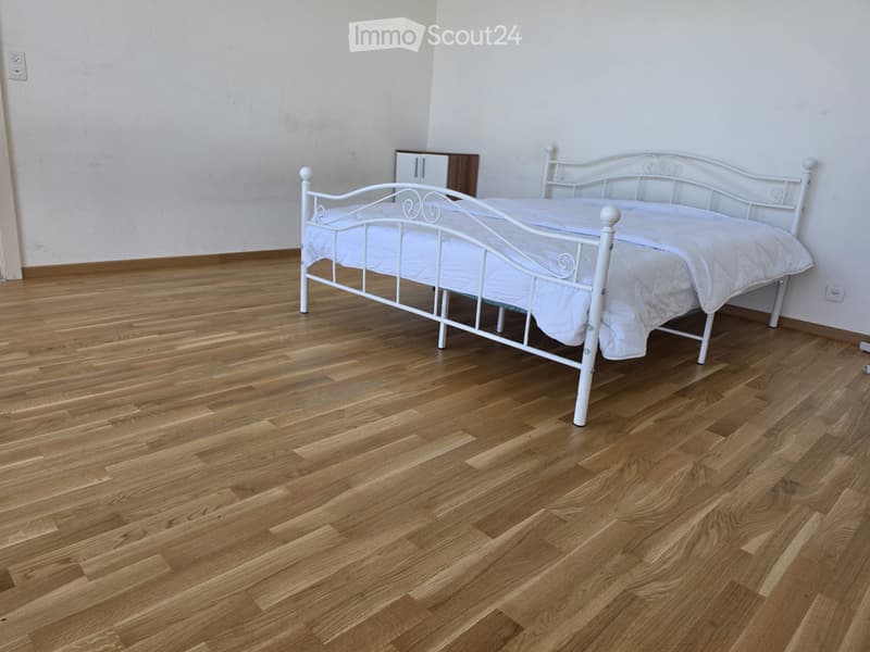 Appartement 2.5 p meublé en sous-location au Lignon (5)