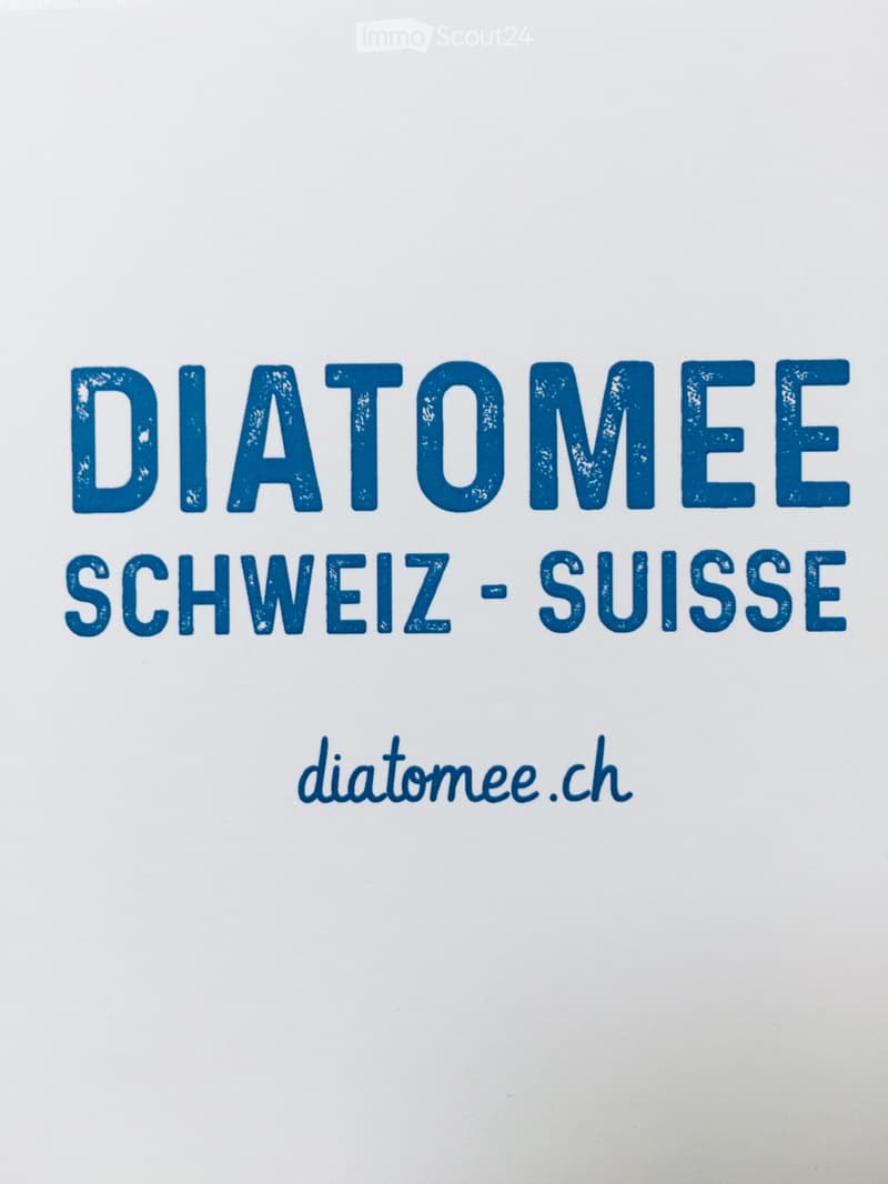 STOP den Bettwanzen (1)
