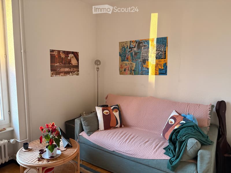 Takeover of a magnificent studio lease in Lausanne (1)