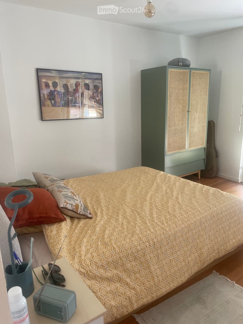 Appartamento 1,5 locali con vista impareggiabile nel centro di Vevey (1)