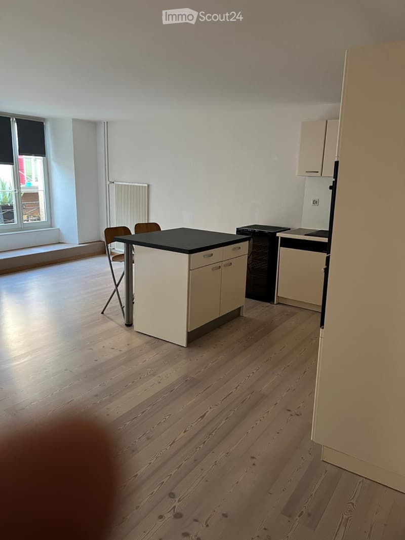 Location appartement 2,5 pièce à (1)