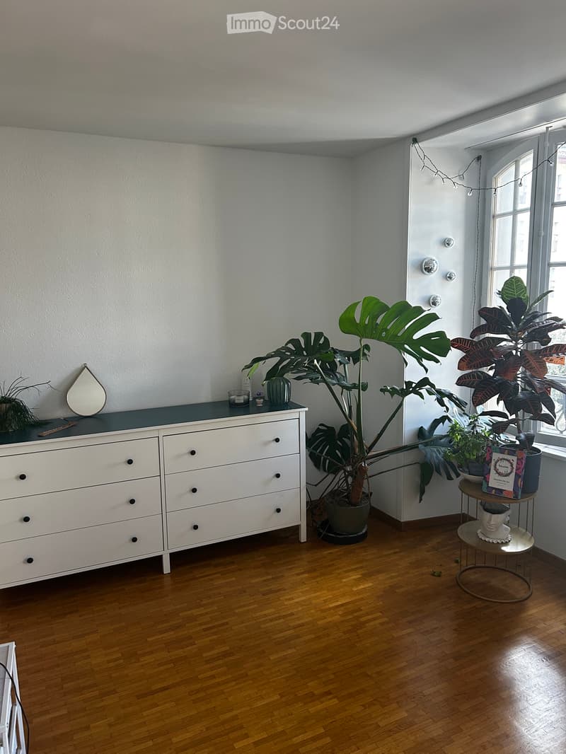 SOUS-LOCATION - Spacieux 3 pièces de 60 m², meublé (4)