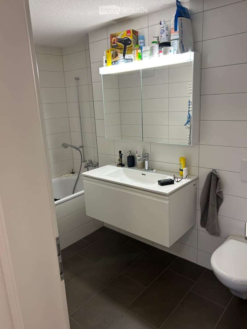 gepflegten 3.5-Zimmer-Wohnung (4)