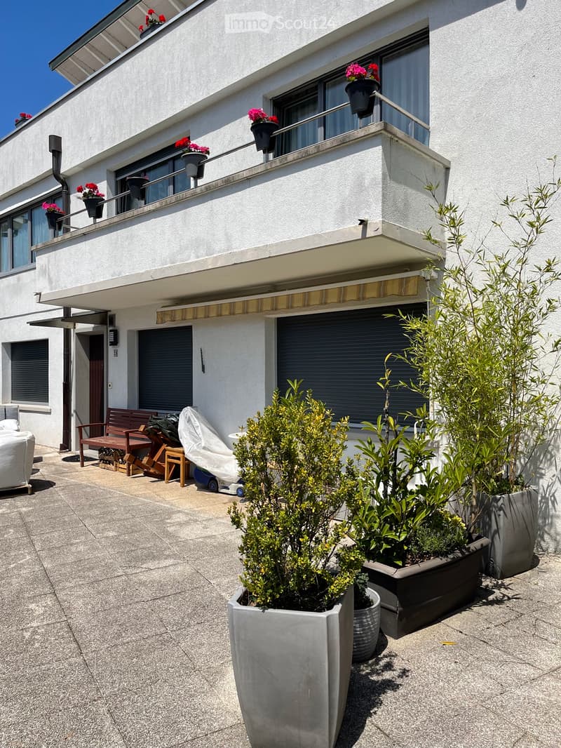 Magnifique 2,5 pièces avec terrasse et très lumineux (1)