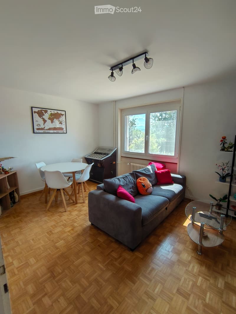 Zweieinhalb-Zimmer-Wohnung im Erdgeschoss (3)