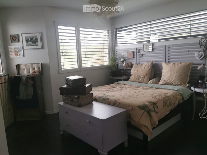 Geräumiges und modernes Apartment zur Miete (3)