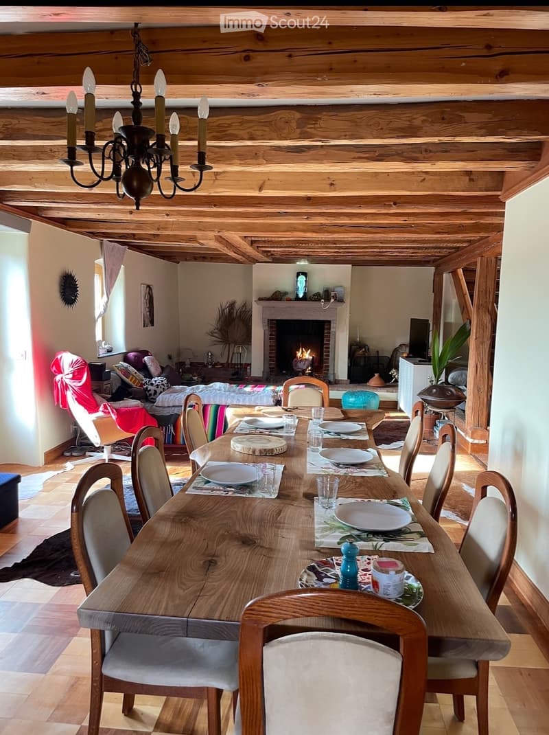Spacious 4.5-room villa with large garden (1)