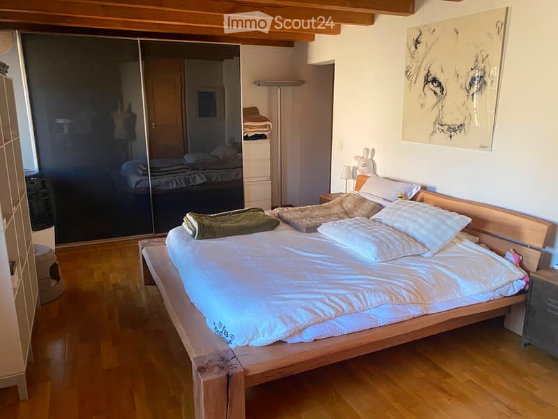 Proprietà atipica a Chancy: ripresa il 1° settembre (10)