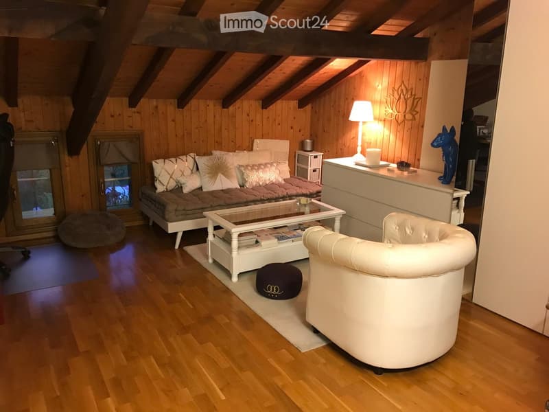 Proprietà atipica a Chancy: ripresa il 1° settembre (7)