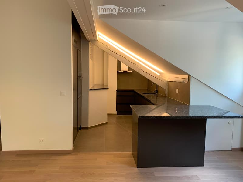 Reprise de bail Appartement de 3.5 pièces (Genève) (4)