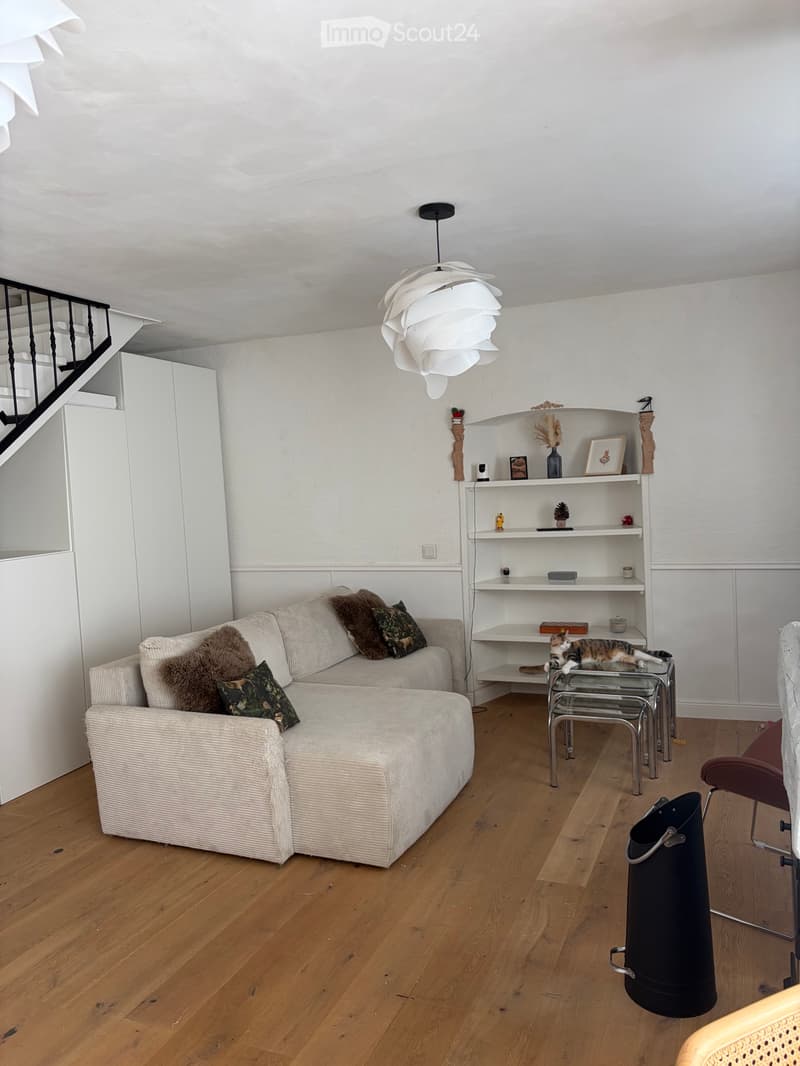 Duplex in a winegrower's house in the heart of Cully (4)