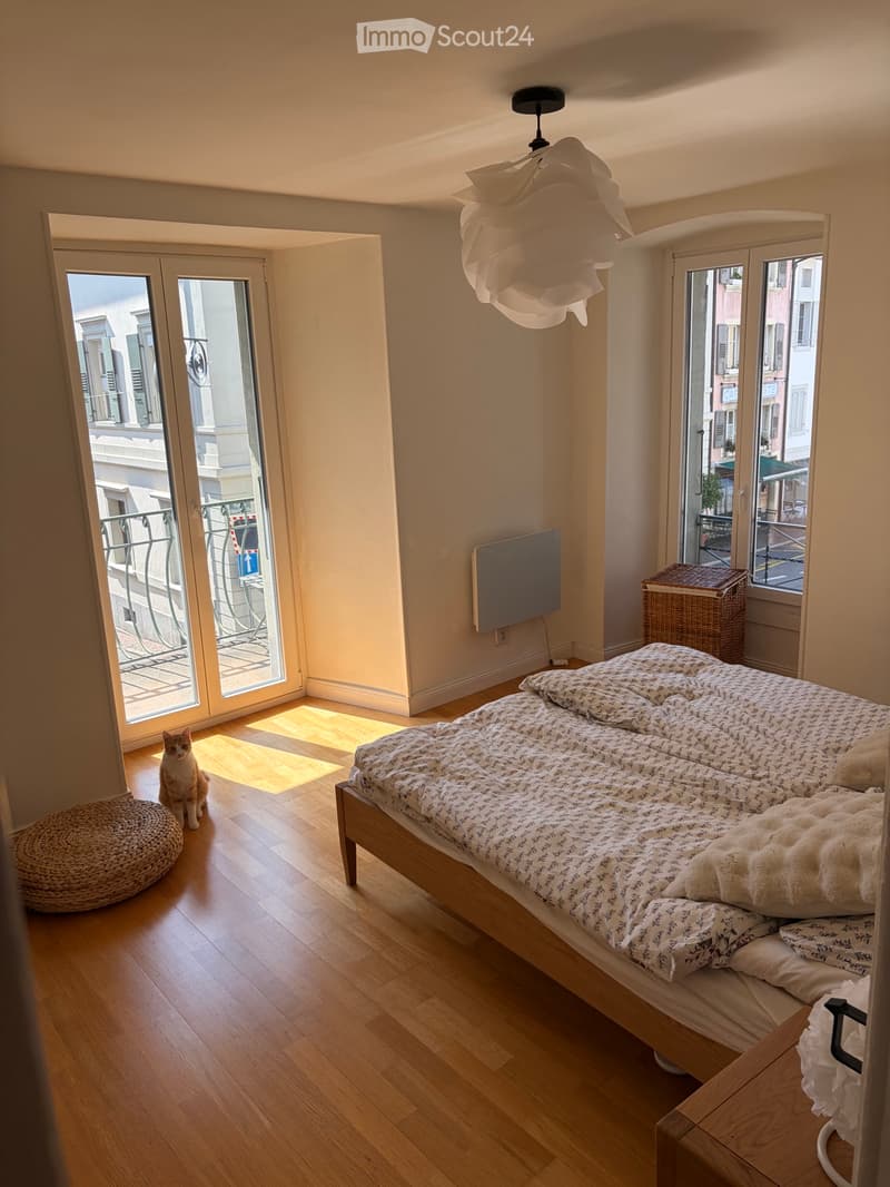 Duplex in a winegrower's house in the heart of Cully (1)