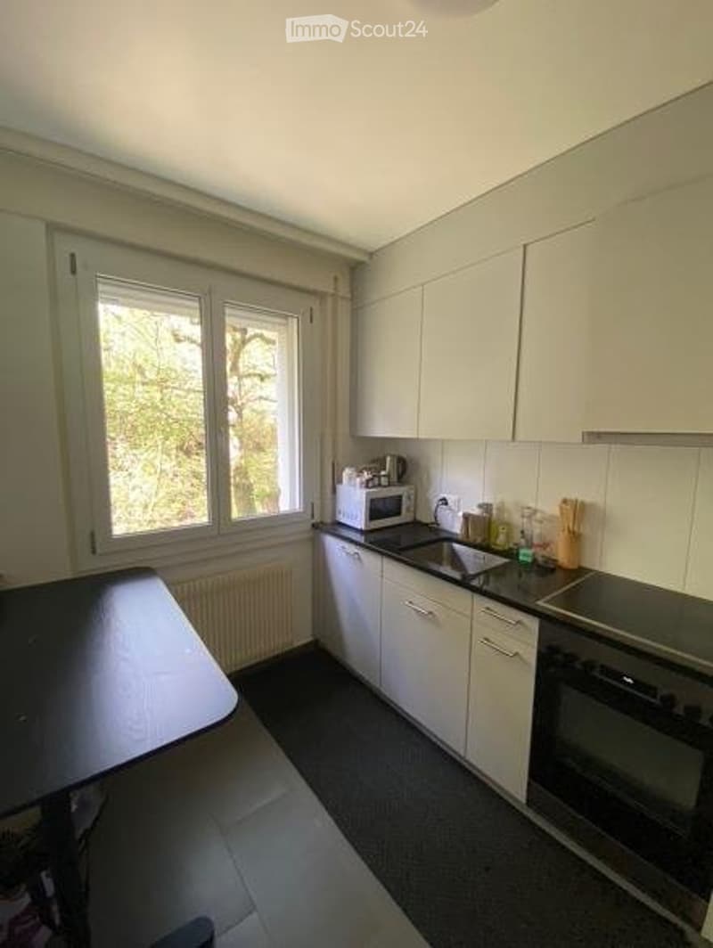 Grande chambre en colocation - 25m2 dans 100m2 (3)