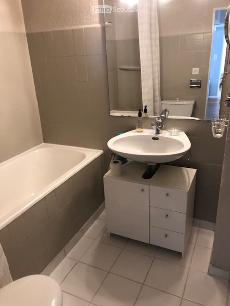 Appartement meublé de 54 m2 (5)