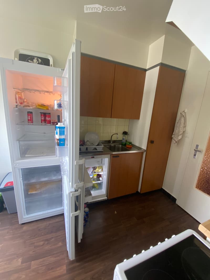 Chambre à louer en colocation féminine (4)