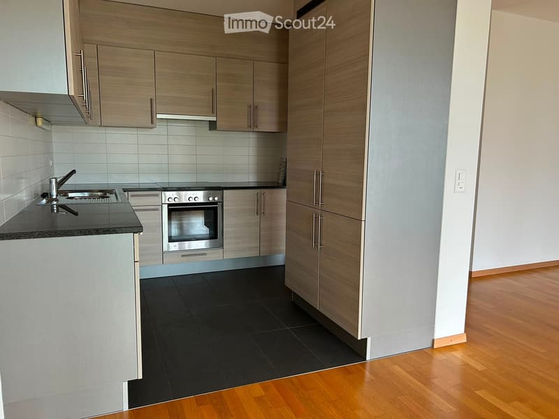 Reprise de bail d'un magnifique 4.5 pièces près des Nations (3)