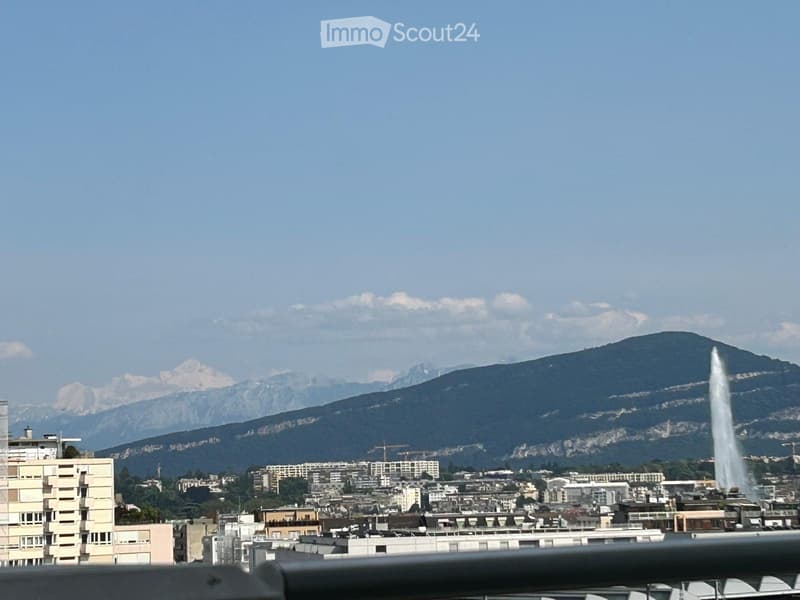 4,5 locali alle Nazioni con vista sul Mont-Blanc & Jet d'Eau (2)
