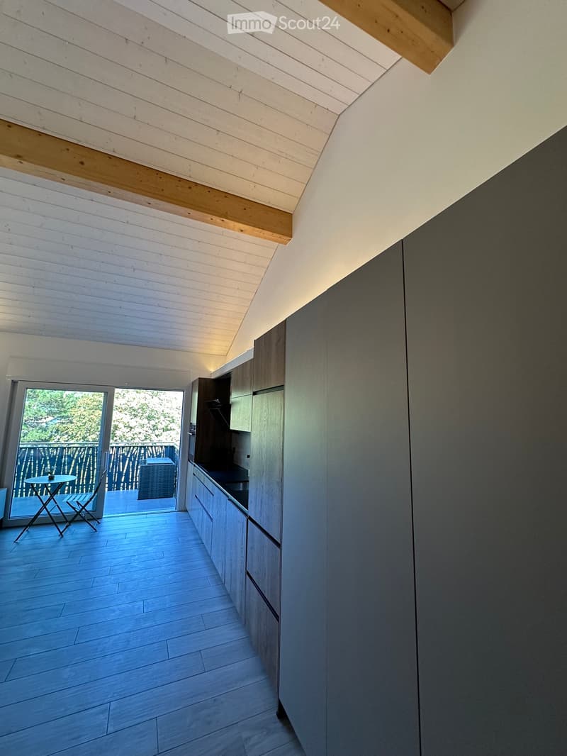 Beau studio neuf en attique (5)