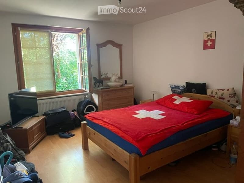 À louer  Charmant petit appartement cosy avec terrasse (3)