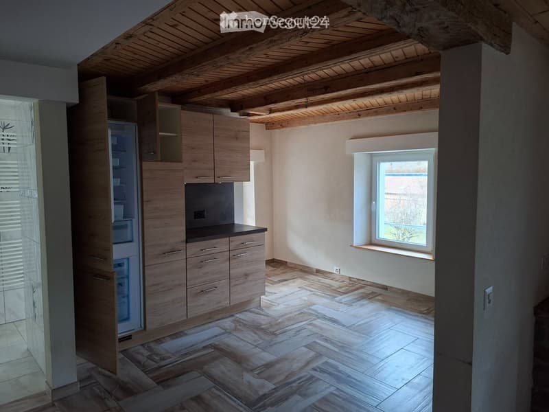 Magnifique 2,5 pièces + mezzanine 25m2 + terasse de 60m2 (2)