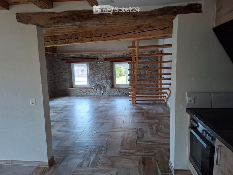 Magnifique 2,5 pièces + mezzanine 25m2 + terasse de 60m2 (3)