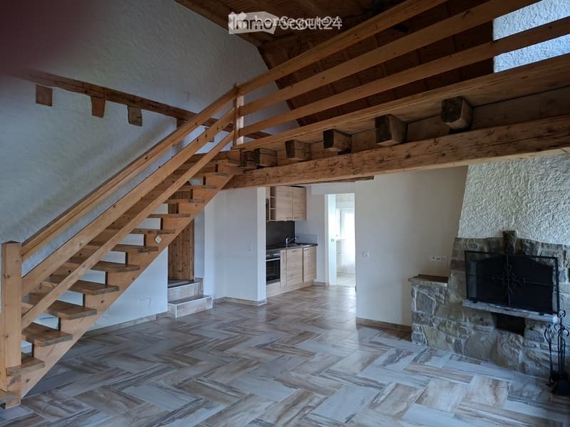 Magnifique 2,5 pièces + mezzanine 25m2 + terasse de 60m2 (1)