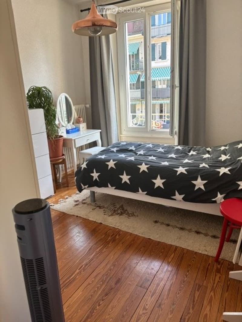 Agréable et lumineux appartement de 3 pièces (2)