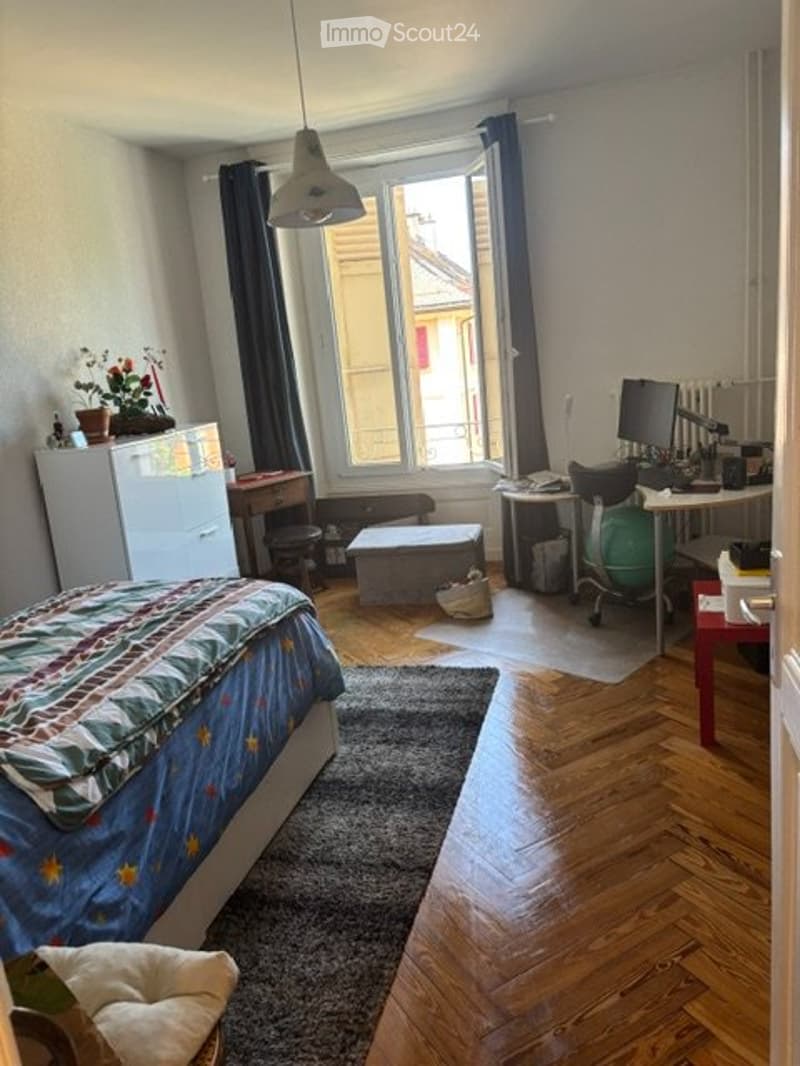 Agréable et lumineux appartement de 3 pièces (3)