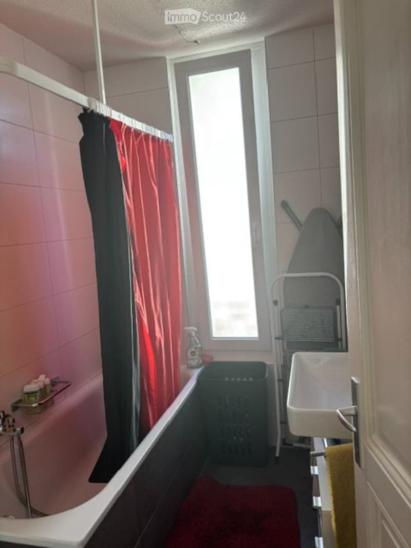 Agréable et lumineux appartement de 3 pièces (4)