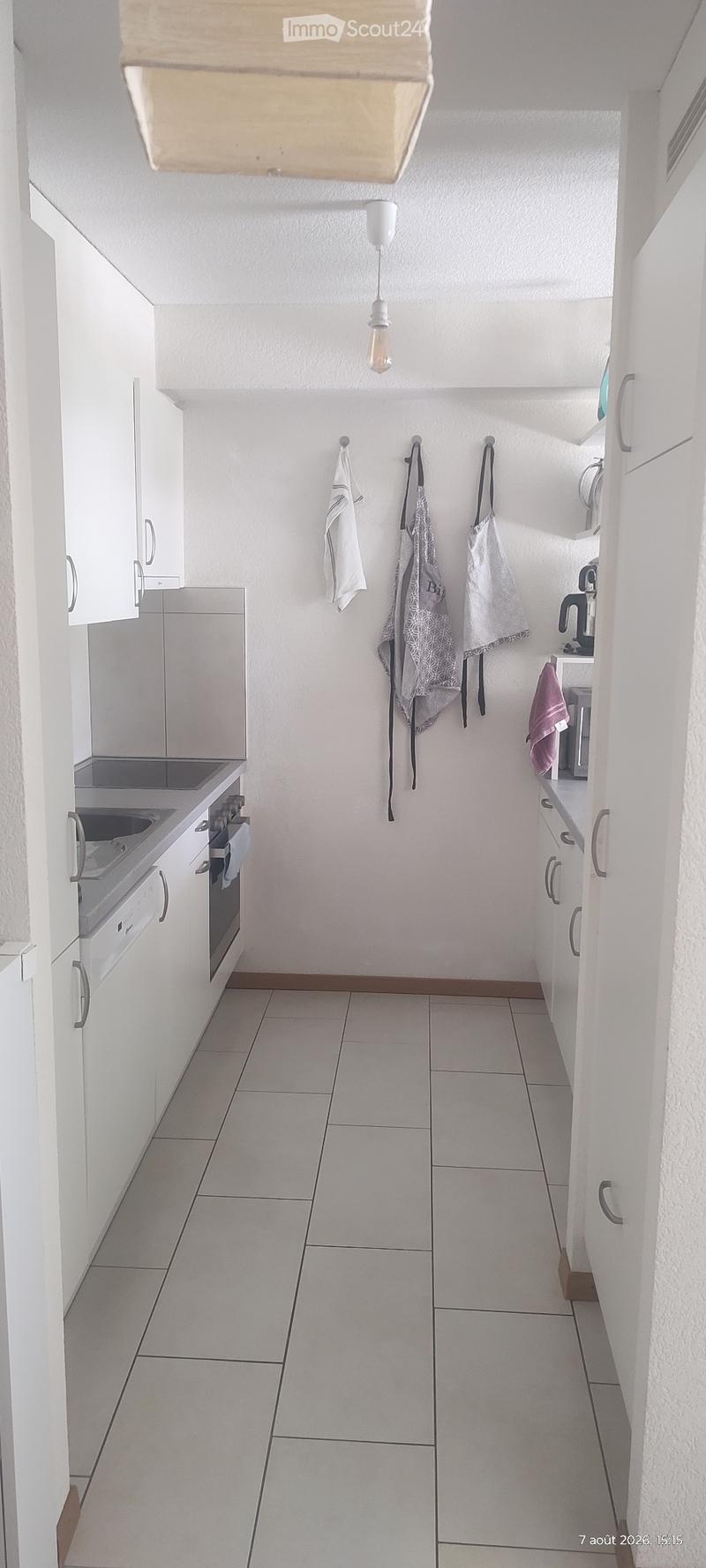 Charmant appartement spacieux avec terrasse (8)