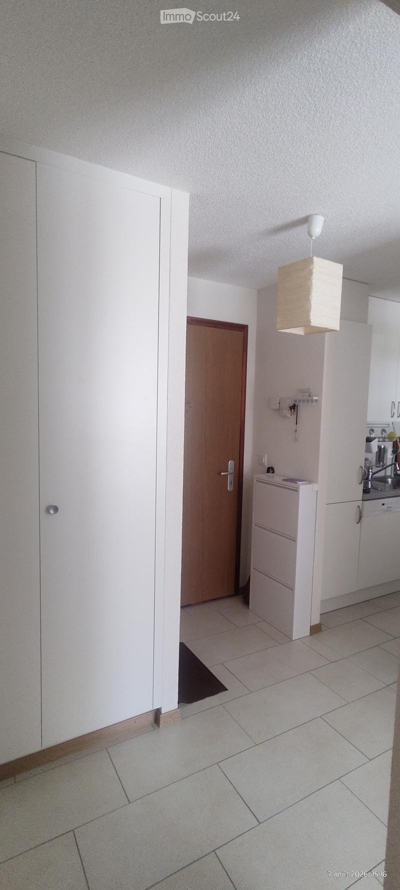 Charmant appartement spacieux avec terrasse (7)