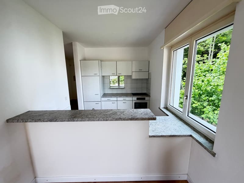3.5 pièces - 76m² - charmante rénovation proche commodités (4)
