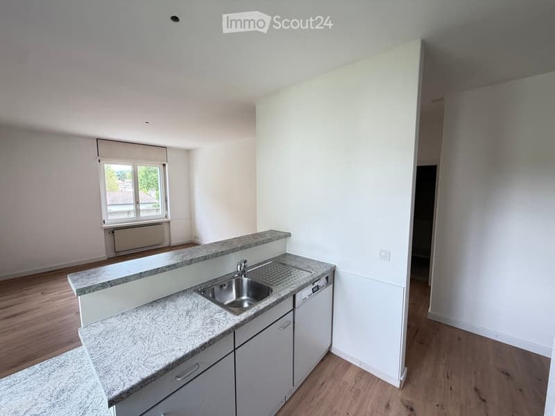 3.5 pièces - 76m² - charmante rénovation proche commodités (3)