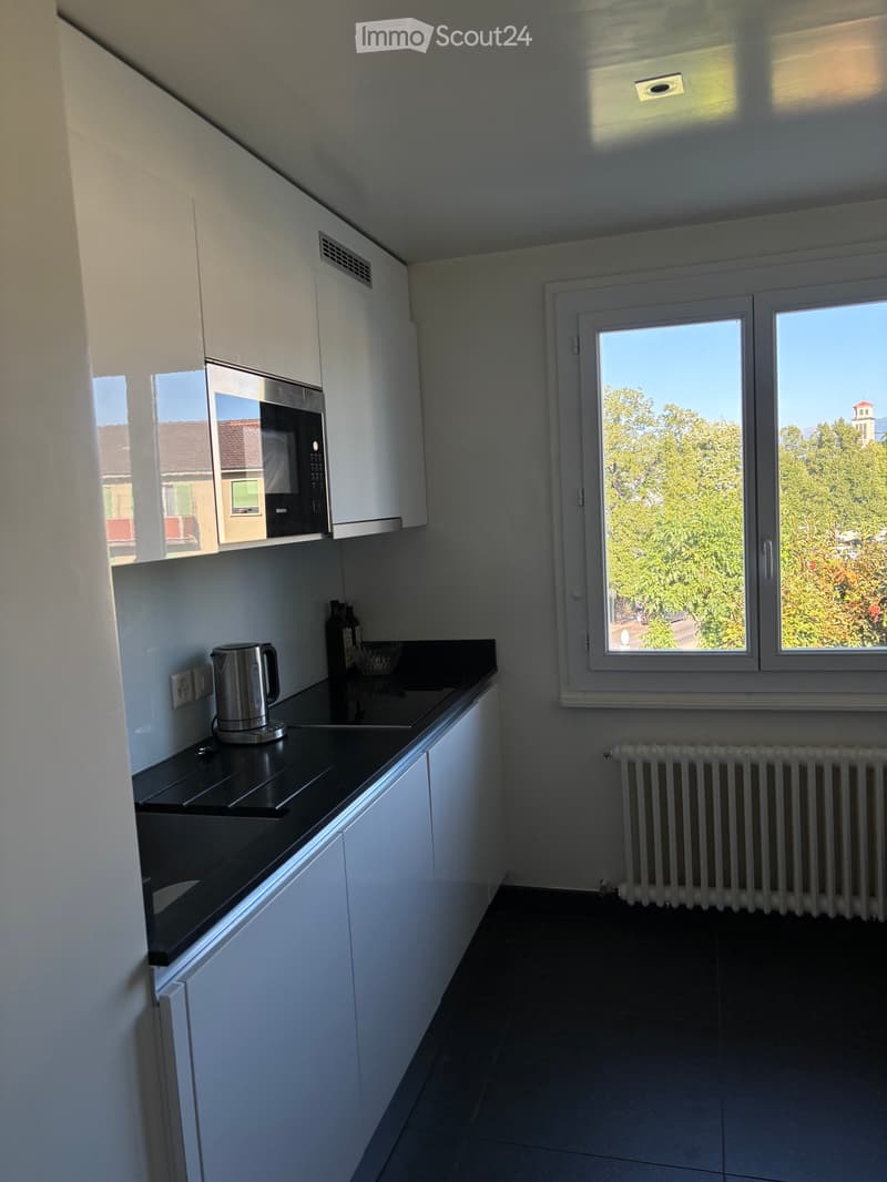 Appartement 3.5 pièces (2)