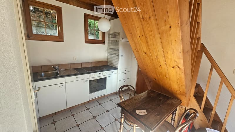 Petite maison indépendante 2 pièces duplex, jardin, à Vex (4)