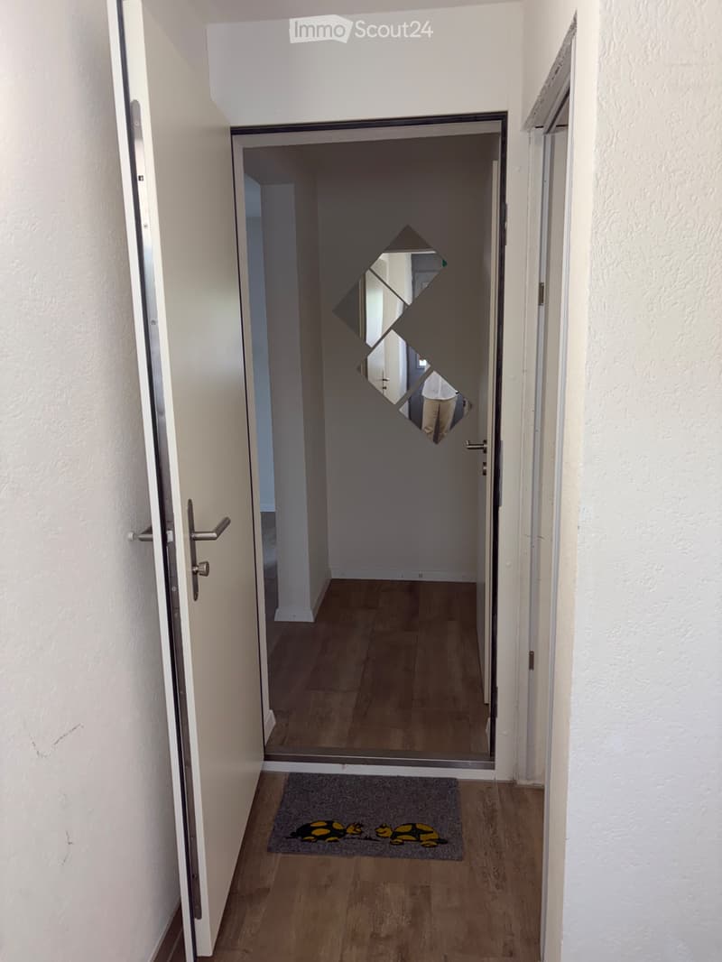 Schönes Studio mit großer Kellerhalle - Nebenkosten inklusive (1)