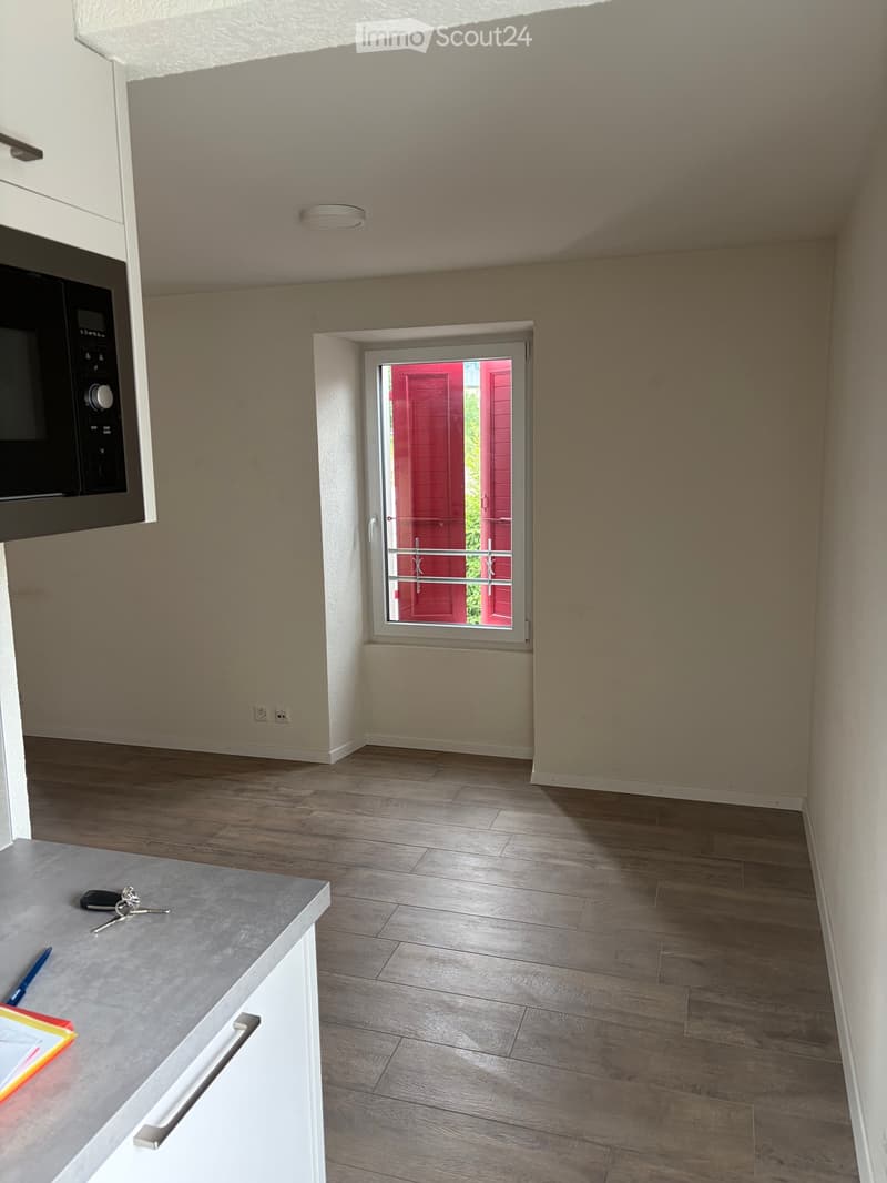 Schönes Studio mit großer Kellerhalle - Nebenkosten inklusive (3)