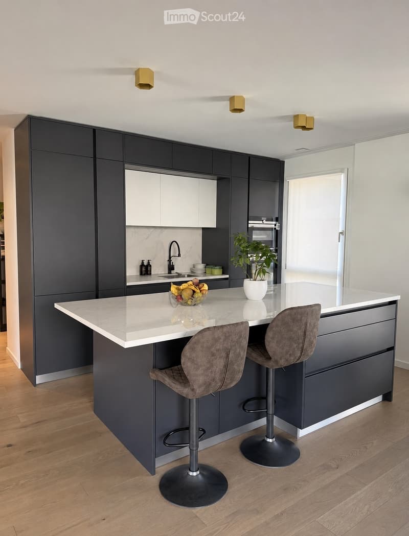 Magnifico appartamento di 5 locali con 120 m² e terrazza - Parc des Crêts (4)